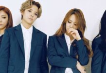 f(x)’in son tanıtımından (müzik programlarına göre) bu yana 10 yıl geçti