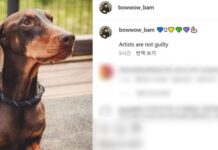 Jungkook’un “sanatçılar suçlu değil, onları kullanmayın” gönderisi tekrar gündeme geldi