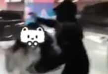 Çinli idol Ling Chao, bir sasaeng’in saçını başını yoldu