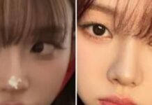 Winter ve Karina neden bu kadar birbirine benziyor?