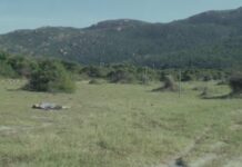 AKMU ‘Joy, Sorrow, A Beautiful Heart’ müzik videosu yayınlandı