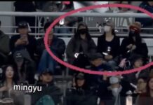 BP Jisoo, BTS’in konserine gitti