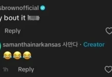 Chris Brown, TikTok üzerinden bir BTS hayranına küfür etti image